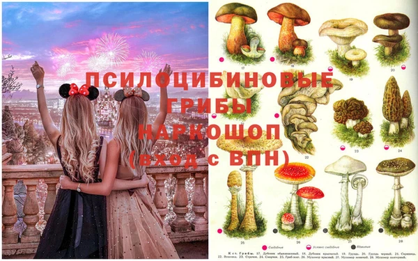 ПСИЛОЦИБИНОВЫЕ ГРИБЫ Верхнеуральск