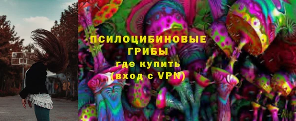 ПСИЛОЦИБИНОВЫЕ ГРИБЫ Верхнеуральск